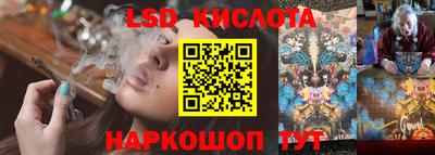 крисы Славгород