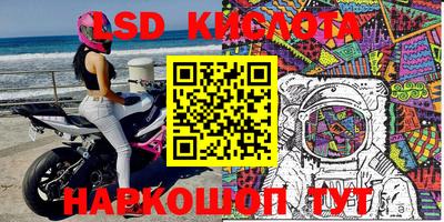 крисы Славгород