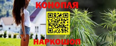 крисы Славгород