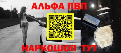крисы Славгород