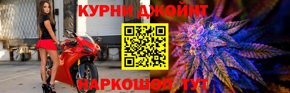 Конопля гибрид Печора